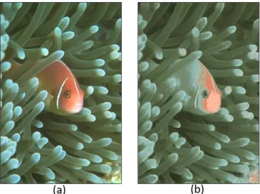 Fig. 6.  An example of a noisy generated-reconstructed-image (b from the set  (B)), with MSE=711.84