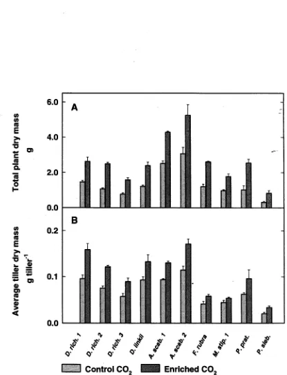 Figure 3.1 (A) Total plant dry mass and (B) average tiller dry mass at day 42. Error bars show one standard error of the mean and are present on all bars