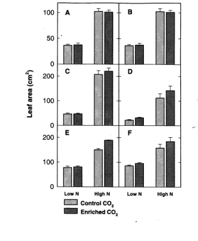 Figure 4.3 Green leaf area. D. M. richardsonii 1 (A) & 2 (B), V. bromoides (C), V. ciliata (D) and stipoides 1 (E) & 2 (F)