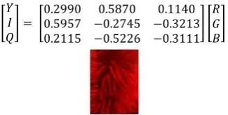 Fig. 3 YIQ image    