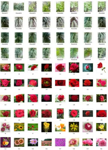Fig. 6 Retrieved RGB images using GLCM  