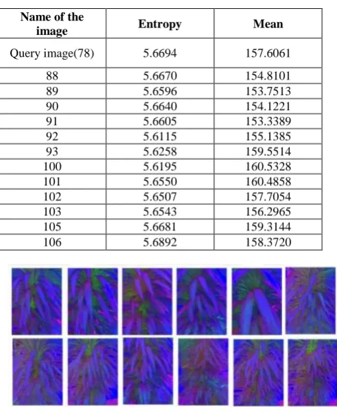 Table 2. GLCM parameters for HSV image 