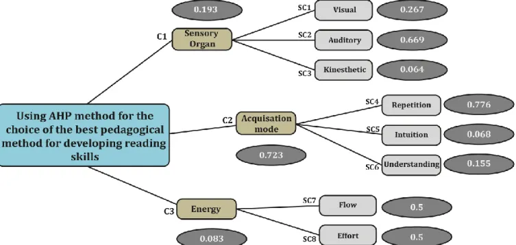 Figure 1 : hierarchy of criteria and sub-criteria used to evaluate the pedagogical methods and their weights 