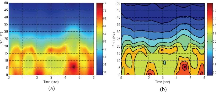 Figure 9  The 2-D image and the contour plot of the time-dependent spectrum produced from the 3-D topographical map shown in Figure 9
