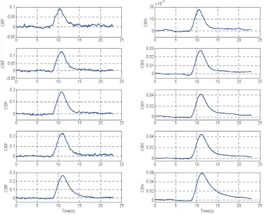 Fig. 1.   Measurements of changes in CBF and CBV. From top to bottom, the plots are for the cases of 1, 2, 3, 4, and 5Hz