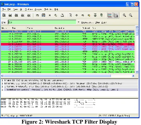 Figure 2: Wireshark TCP Filter Display 