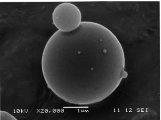 Fig. 2. Scanning electron micrograph of TEOS/α,ω-silane- TEOS/α,ω-silane-terminated PEG loaded microparticles