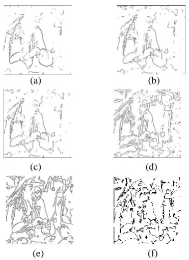 Fig. 7 :Edge image of test image Man using (a)Roberts (b)Sobel (c)Prewitt (d) LoG (e) Canny (f) Proposed ACO 
