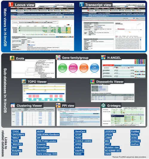 Figure 1. H-InvDB: overview of the comprehensive annotation resource for the human genes and transcripts