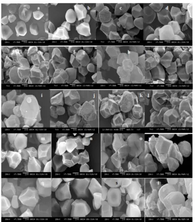 Figure 2. Scanning electron micrographs of starch granules isolated from lowland varieties of rice from Northeast India (a) IC-564948; (b) IC-564953; (c) IC-564950; (d) IC-321204; (e) IC-558321; (f) IC-321201; (g) IC-564939; (h) IC-332963; (i) IC-324133; (