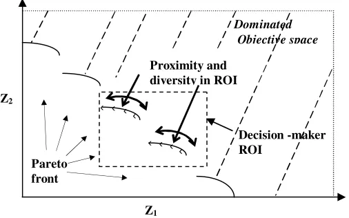 Fig. 1.  The multiobjective problem domain.
