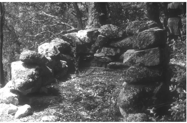 Fig. 16.11. Abandoned enclosure in the Levie area (Corsica), which was probablyused for pigs (photo UA 2000)