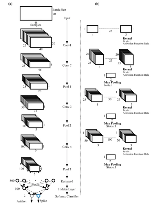 Figure 4.   Architecture of SpikeDeeptector CNN. (a) Process of mapping input space into decision space