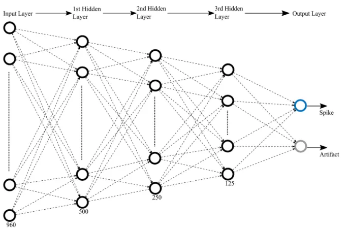 Figure 5.   Architecture of SpikeDeeptector fully connected neural network. The input propagates through the input layer, three hidden  layers, and an output layer