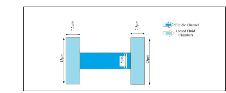 Figure 2: Structure of micro fluidic channel 