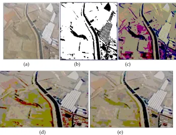 Figure 3. Results of the multi-level thresholding of an image using PGSA. a) The original aerial image