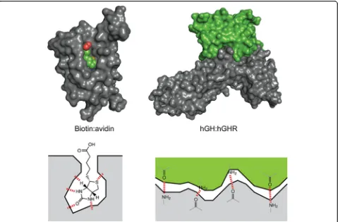 Fig. 6 Mechanisms of interaction between small molecules and proteins, and protein-protein interactions