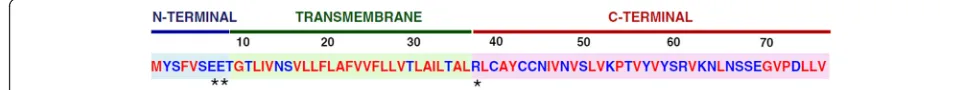 Fig. 1 Amino Acid Sequence and Domains of the SARS-CoV E Protein. The SARS-CoV E protein consists of three domains, i.e