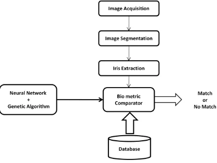 Fig 1: Block diagram of a iris recognition system 