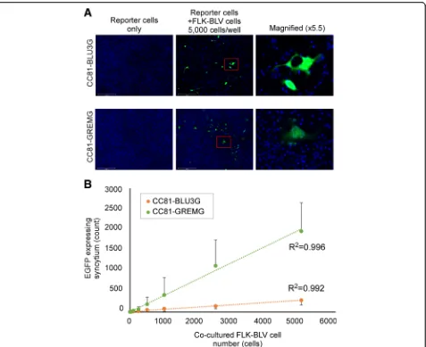 Fig. 2 Comparison of quantitative analysis of cell-to-cell infection by LuSIAs using CC81-GREMG and CC81-BLU3G reporter cells