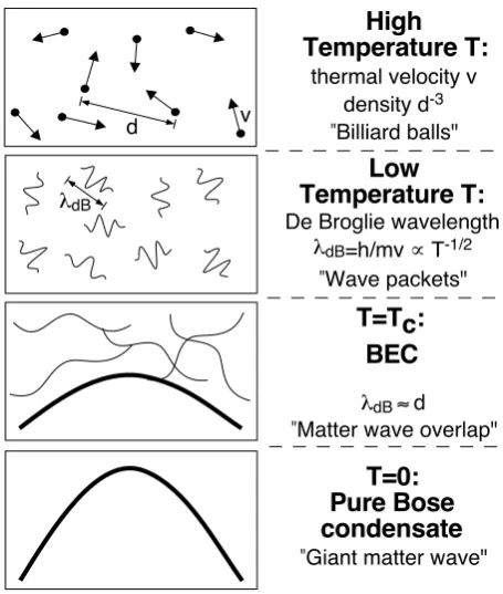 Figure 1.2: Comparison of the behaviour of a Bose gas at diﬀerent temperatures. See main text.Reproduced from Ketterle et al