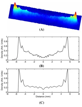Figure 2.4: Comparison of theory and experiment. Upper trace shows an experimental 2D imageof the transverse proﬁle of an atom laser (image size is 13 mm by 3.4 mm) taken y = 4 cm belowthe condensate