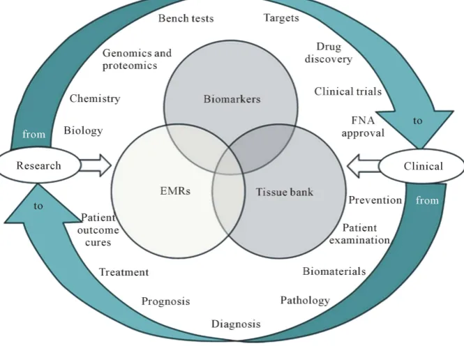 Figure 11. Knowledge received from scientific researches, as well as from clinical practice is exposed to careful processing and interpretation through bioinformatics
