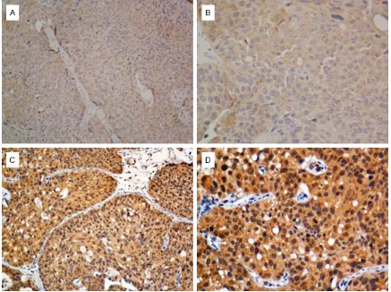 Table 1. Association between clinical param-eters with PTP4A3