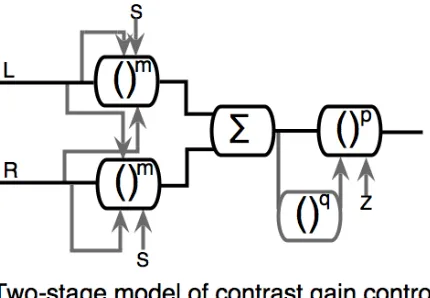 Figure 1:  Schematic diagram of the two‐stage model of Meese  et al. (2006). The left and right channels (L and R) pass through  a  stage  of  monocular  excitation  and  binocular  suppression  (Stage  1),  followed  by  binocular  summation  and  a second stage of contrast gain control (stage 2). S denotes summation, and grey arrows indicate divisive suppression.  