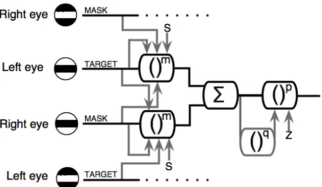 Figure 3: Schematic diagram of the two‐stage model (Fig 1) extended to accommodate masking from dichoptic antiphase  gratings. In the experiments there was only one target grating and one mask grating and these were always presented to different eyes. 
