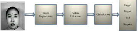 Fig 1: Facial expression recognition technique overview. 