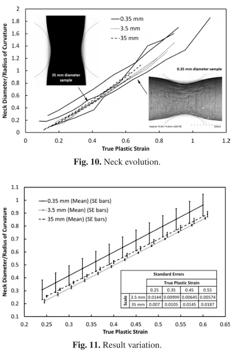Fig. 10. Neck evolution.