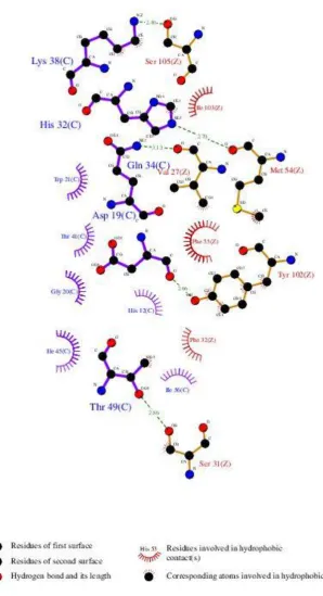 Fig 1: The interaction between (H5-VN04) and F10 antibody as determined by  Jianhua Sui et al 