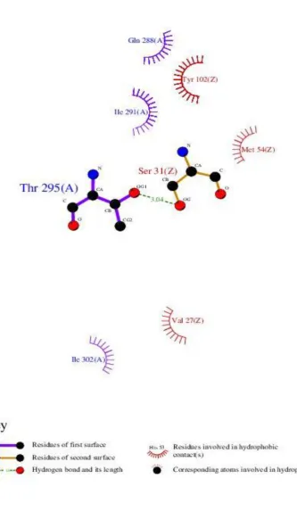 Fig 3:  The interaction between H5N1 hemagglutinin protein (Accession Number: ADM95462) and F10 antibody