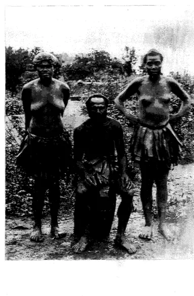 Figure 2: A man with two women 