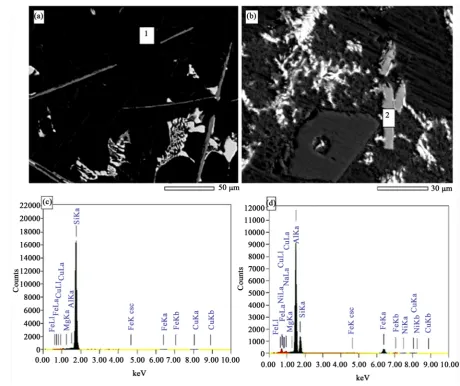 Figure 9. Fe-rich intermetallics length as a function of number of cycles.                  