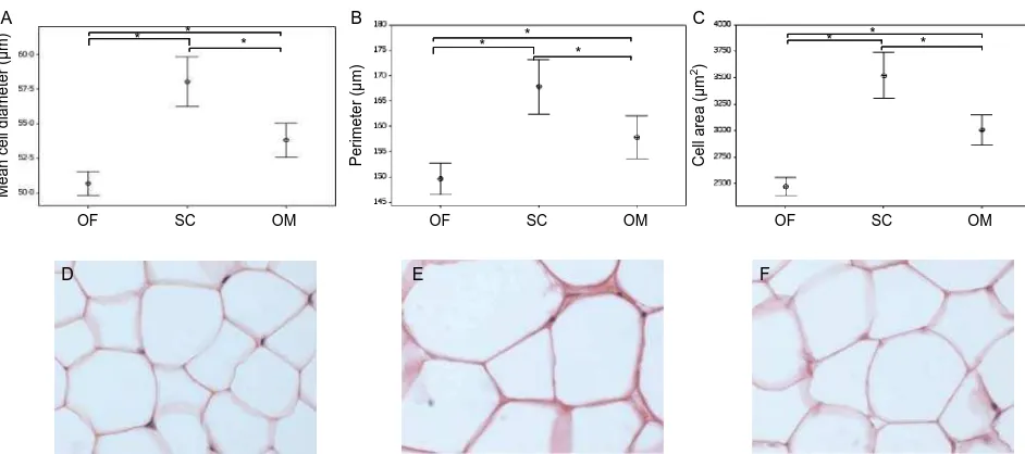 Figure 1 Adipocyte morphology. Diameter of the individual adipocyte (A), perimeter cell diameter (B) and area (C), were identiﬁed as optimalresults are expressed as mean and 95% conﬁdence intervals; *characteristics deﬁning adipocyte morphology