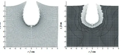 Figure 9. Deformation at t=10µs