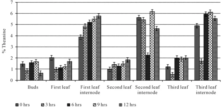 Figure 1. Effect of sunlight exposure on theanine levels in different partitions of tea shoots