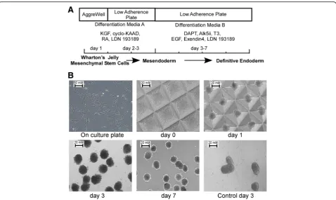 Fig. 1 Experimental protocol and 3D colony formation. a Schematic representation of the differentiation protocol including the key manipulatedsignaling pathways