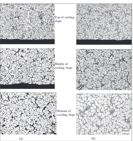 Figure 6: Microstructure of the remnant A356 on the cooling slope tilted at 45° and poured at: a) 630°C, 150 mm, b) 630°C, 250 mm.