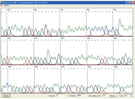 Figure 2. Electropherogram of a bisulphite-treated DNA clone. Right-clicking on one of the blue row cells displays the entire electropherogram forthat individual sequence.