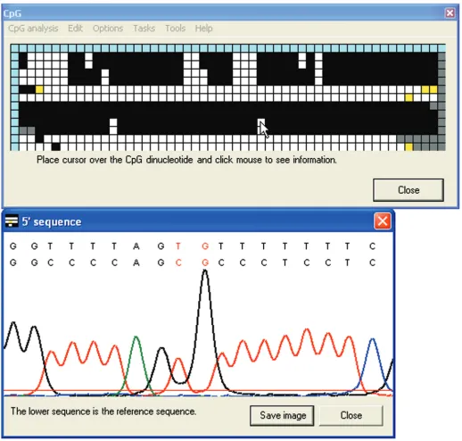 Figure 4. Display of the electropherogram data underlying the methylation status grid