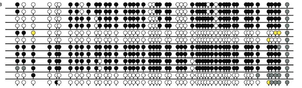 Figure 6. Summary output of methylation data. Publication type CpG dinucleotide information shown as equally spaced ((To prevent closely spaced lollipops from overlying one another in the scaled view, a ﬁxed gap of half the width of a lollipop is inserted 