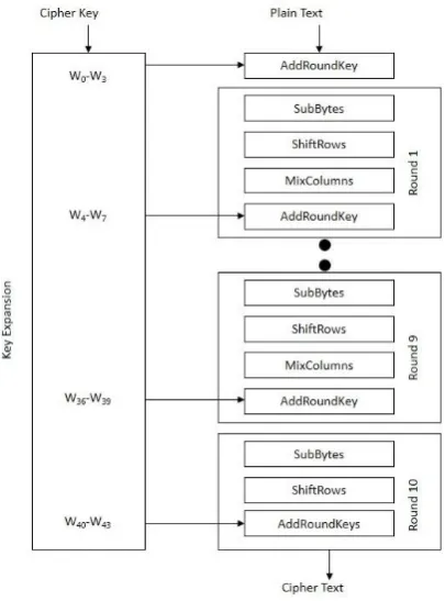Fig 2: SubBytes Transformation Step 