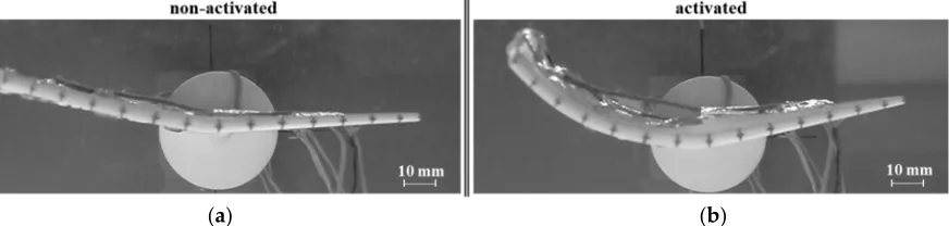 Figure 2. (a) Blade tip capture in non-activated condition; (b) Blade tip capture during the thermal activation in the SBTF