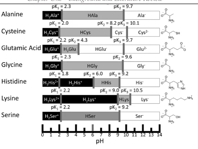 Figure 17. Association of amino acids in zwitterionic form (Adapted from [223]). 