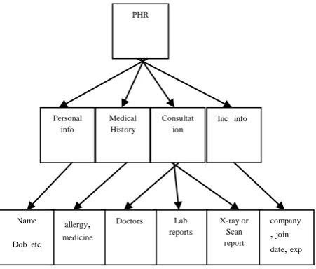 Fig 1: The hierarchy of PHR 