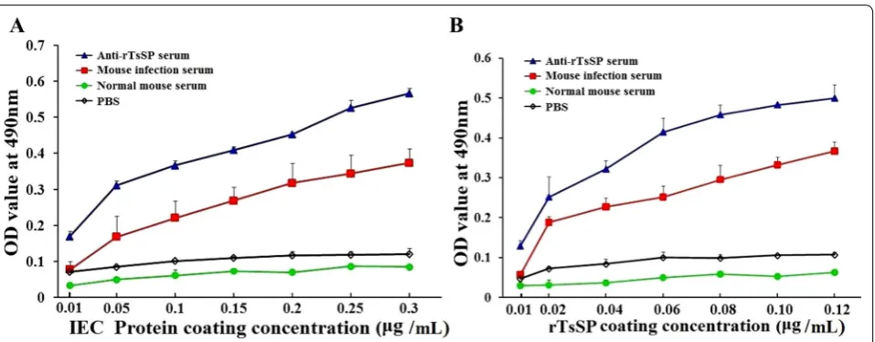 Figure 6 Binding affinity between rTsSP and IEC assayed by ELISA. A The binding between 5 μg/mL rTsSP and different concentrations of IEC proteins; B the binding between 2 μg/mL IEC proteins and different concentrations of rTsSP