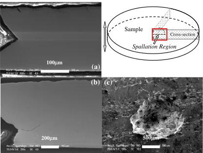 Fig. 2. Close-up observations of Zr-BMG samples impacted byﬂyers with various thickness at one shot (V = 200m/s): Partof cross-section of (a) the sample (h = 0.135 mm) and (b) thesample (h = 0.335 mm); (c) An over look of spallation occurredin the sample (h = 0.585 mm.).